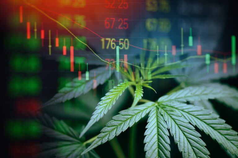 El informe sobre el mercado del cannabis en EE. UU. genera optimismo entre los inversores